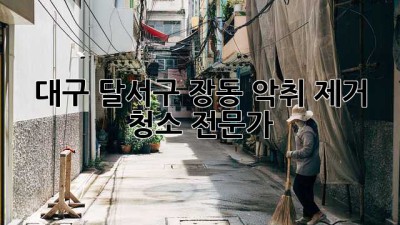 대구 달서구 장동 악취 제거 청소 전문가