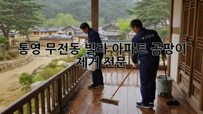 통영 무전동 빌라, 아파트 곰팡이 제거 전문